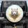 Majestic White Tiger Golden Leaves Feathers - Wildlife Lover Gift Spare Tire Cover - 1