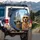 Tabby Cat Golden Retriever Sunglasses Urban Car Scene - Pet Lover Gift Spare Tire Cover - 3