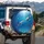 Bottlenose Dolphins Swimming Water Reflections Ocean Aquatic Scene Wildlife Lover Gift Spare Tire Cover - 3