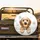 Light Brown Cream Puppy Bathtub Sponge Dandelion Tiles - Home Decor Gift for Pet Lover Spare Tire Cover - 2