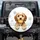 Light Brown Cream Puppy Bathtub Sponge Dandelion Tiles - Home Decor Gift for Pet Lover Spare Tire Cover - 1