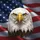 Bald Eagle American Flag - Independence Day Gift for Veterans Spare Tire Cover - 6