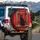 Black Cat Golden Eye Rustic Windowsill Scarlet Red Wall - Cat Lover Gift Spare Tire Cover - 3