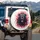 Powerful Black Bear Roaring Sharp Fangs Electric Blue Eyes - Wildlife Lover Adventure Gift Spare Tire Cover - 3