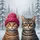 Tabby Cats with Fuchsia Beanie, Glasses Winter Scene - Home Decor Gift for Cat Lovers Spare Tire Cover - 6