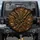 Gnarled Tree Branches Fallen Leaves - Outdoor Lifestyle Gift for Nature Lovers Spare Tire Cover - 1