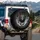 Mid-Stride Lion Orange Eyes Flowing Mane Jagged Rocks Smoke - Wildlife Lover Gift Spare Tire Cover - 3