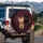 Orange Tabby Black Cat Felines Burgundy - Home Decor Gift for Cat Lovers Spare Tire Cover - 3