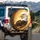 Bald Eagle Head White Dark Feathers Piercing Gaze Swirling Golden Glow - Wildlife Lover Gift Spare Tire Cover - 3