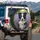 Black White Border Collie Dog Holding Lavender Flowers Field Trees - Dog Lover Gift Spare Tire Cover - 3