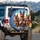 Joyful German Shepherds Driving Desert Highway Adventure - Dog Lover Outdoor Travel Gift Spare Tire Cover - 3