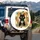 Black Cat Bubble Tea Golden Eye Geometric Shapes Starburst - Cat Lover Home Decor Gift Spare Tire Cover - 3