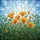 California Poppies Green Foliage Buds Sunny Sky - Garden Lover Gift Spare Tire Cover - 6