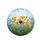 California Poppies Green Foliage Buds Sunny Sky - Garden Lover Gift Spare Tire Cover - 4