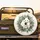 White Possum Flowering Branches Cream Blossoms Teal Leaves - Nature Lover Gift Spare Tire Cover - 2