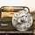 Opossum Surrounded Botanical Flowers Foliage Branch - Wildlife Lover Gift Spare Tire Cover - 2