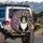 Tuxedo Cat Geometric Patchwork Home Decor Gift for Cat Lover Spare Tire Cover - 3