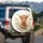 Highland Cow Wildflower Meadow - Farmhouse Home Decor Gift for Cow Lover Spare Tire Cover - 3