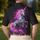 duiyfppz/products/6a1ed94c8abecf8129c5457d/gallery/QemqZhPm6Z