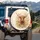 Highland Cow Wildflower Meadow - Farmhouse Home Decor Gift for Cow Lover Spare Tire Cover - 3