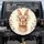 Brown Bunny Daisy Flower Crown, Scattered Florals - Wildlife Lover Gift Spare Tire Cover - 1