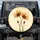 Dried Poppy Flowers Pressed Foliage Gold Dust Parchment Background - Vintage Home Decor Gift Spare Tire Cover - 1