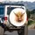 Highland Cow Pink Tongue - Farmhouse Decor Gift for Cow Lover Spare Tire Cover - 3