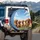 Five Happy Goldendoodle Labradoodle Dogs - Dog Lover Gift for Pet Owners Spare Tire Cover - 3
