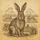 Vintage Rabbit Small Bunnies Golden Parchment - Wildlife Lover Home Decor Gift Spare Tire Cover - 6