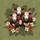 Hereford Cows Tropical Leaves Exotic Flowers - Farmhouse Home Decor for Cow Lover Spare Tire Cover - 6