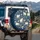 Chinoiserie Cat Blossoms Birds - Home Decor Gift for Cat Lover Spare Tire Cover - 3