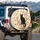 Black Cat Flowering Tree Butterflies - Cat Lover Home Decor Gift Spare Tire Cover - 3