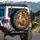 Fox Lush Leaves Flowers Mushrooms Decorative Bands - Wildlife Lover Home Decor Gift Spare Tire Cover - 3