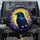 Dark Raven Glowing Eyes Moonlit Gnarled Branches Flowers Night Sky - Wildlife Lover Gift Spare Tire Cover - 1
