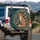 Red Fox Seated Arts Crafts Winding Floral Foliage Tapestry - Wildlife Lover Gift Spare Tire Cover - 3