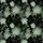 duiyfppz/products/6a1edf6bd42bf3bd70c1b836/gallery/W4iMiWQjwJ