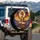 Golden-Scaled Dragon Vintage Books - Fantasy Lover Home Decor Gift Spare Tire Cover - 3