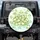 Cartoon Frogs Lily Pad Pond - Wildlife Lover Gift for Frog Lover Spare Tire Cover - 1