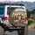 Basset Hounds Driving Car Sunglasses Red Bowtie - Road Trip Travel Dog Lover Gift Spare Tire Cover - 3