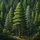 Majestic Pine Spruce Forest - Outdoor Lover Gift Spare Tire Cover - 6