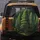 Majestic Pine Spruce Forest - Outdoor Lover Gift Spare Tire Cover - 5
