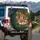 Toadstool Mushroom Oak Fern Wildflower - Forest Decor Gift Spare Tire Cover - 3
