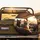 Golden Hour Driving Cats Sunglasses Car Highway - Road Trip Adventure Lover Gift Spare Tire Cover - 2