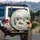 Anthropomorphic Cats Field Hockey Winter Game - Cat Lover Gift for Pet Owners Spare Tire Cover - 3
