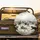 Anthropomorphic Cats Field Hockey Winter Game - Cat Lover Gift for Pet Owners Spare Tire Cover - 2