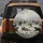 Anthropomorphic Cats Field Hockey Winter Game - Cat Lover Gift for Pet Owners Spare Tire Cover - 5