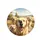 Smiling Golden Retrievers Scenic Countryside Drive - Dog Lover Gift Spare Tire Cover - 4