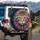 Domestic Cat Fractal Fur Blue Orange Eyes - Everyday Home Decor Gift for Cat Lover Spare Tire Cover - 3