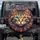 Domestic Cat Fractal Fur Blue Orange Eyes - Everyday Home Decor Gift for Cat Lover Spare Tire Cover - 1