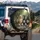 Striped Tabby Ginger Tuxedo Cats Garden Path Dappled Shadows - Cat Lover Gift Spare Tire Cover - 3